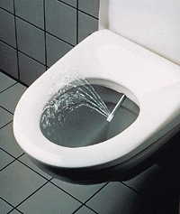 WC-Hygiene hat viele Namen