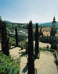 Zentralverband