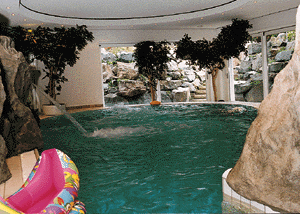 Bild 3: Nicht Zweckmäßigkeit, sondern Spaß- und Badeerlebnis war das Ziel bei der Gestaltung des Privatschwimmbades in Menden.