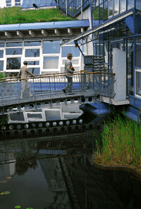 Bild 25: Ökohaus Frankfurt: Eingangsbrücke über Regenwasserteich. Rechts im Bild: Reinigungsbeet für den Regenwasserzulauf von den Dächern. Oben im Bild: Gründach.