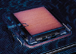 Der Brenner des Thermoblocks "ecoTEC Kat" in Funktion.