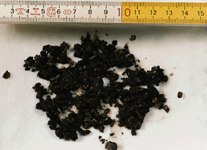 Bild 4: Filtrat der Wasserprobe gemäß Bild 1. Die körnige Struktur ist deutlich erkennbar.