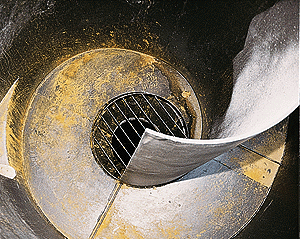 . . . in die Rotunde,