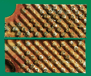 Bild 9: Ehemals gegenüberliegende Plattenausschnitte mit korrodierten Lötverbindungen.