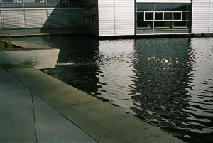 Schilfbeet (links), Ufer und überhängende Gebäudepartie. Foto: K. König