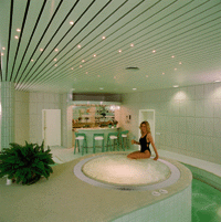 Traumhaft schönes Kellerschwimmbad mit Tiefterrasse sowie integrierter Whirl-Pool- und Liegeempore, Wasserfallgrotte, Strömungskanal, Luftbodensprudler sowie diverse Gegenstrom- und Massagedüsen.