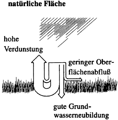 Projektierungshilfe für die Versickerung von Regenwasser in NRW