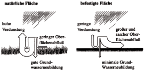 Bild 2: Wasserhaushalt natürlicher und befestigter Flächen (Quelle: F. Sieker (Hrsg.) "Naturnahe Regenwasserbewirtschaftung", Analytica Verlagsgesellschaft, Berlin 1998).
