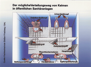 Der mögliche Verteilungsweg und damit die zentralen Kontaktstellen im öffentlichen Sanitärraum.