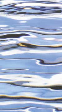 Im Congress Center CCH in Hamburg fand am 28./29. März dieses Jahres die "Wasserfachliche Aussprachetagung 2000" mit zahlreichen Vorträgen und Diskussionen zum Thema "Daseinsvorsorge und Wettbewerb: Die deutsche Wasserversorgungswirtschaft auf dem Weg ins 21. Jahrhundert" statt. Über 700 Teilnehmer diskutierten und informierten sich über dieses branchenbeherrschende Thema.