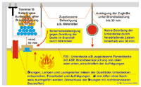 Die Muster-Leitungs-Anlagen-Richtlinie MLAR