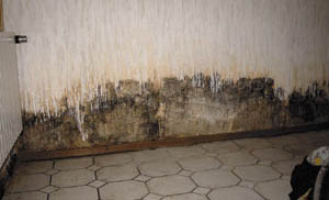 Eine von Feuchte und mit Schimmelpilz befallene Wand.