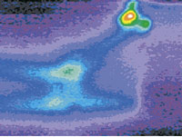 Die Thermografieaufnahme zu obigem Bild zeigt eine Leckstelle direkt unter dem Waschtisch.