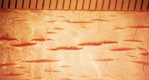 Durch Abbau und Zerfall der Kunststoffe (Korrosion/Dilaboration) bewirkte Zerstörung von Warmwasserleitungsrohren und -fittings aus Trinkwasserhausinstallationen nach einer Lebensdauer von 10 bzw. 15 Jahren unter üblichen Bedingungen. Die Bilder zeigen die Rohr- und Fittinginnenansichten. Die Abstände der Randstriche betragen 1 mm.