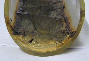 Bild 5: Ablagerungen in der Sammelanschlussleitung nach neunmonatigem Betrieb.