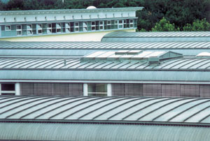 Bild 3: Die Neubauten der Telekom in Bonn sind gekennzeichnet durch handwerklich ausgeführte Leistendächer. Die kraftvolle Gliederung der leicht gewölbten Dächer setzt einen besonderen architektonischen Akzent. Foto: TPP