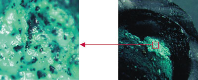 Biofilm auf einem Armaturenanschlussschlauch.