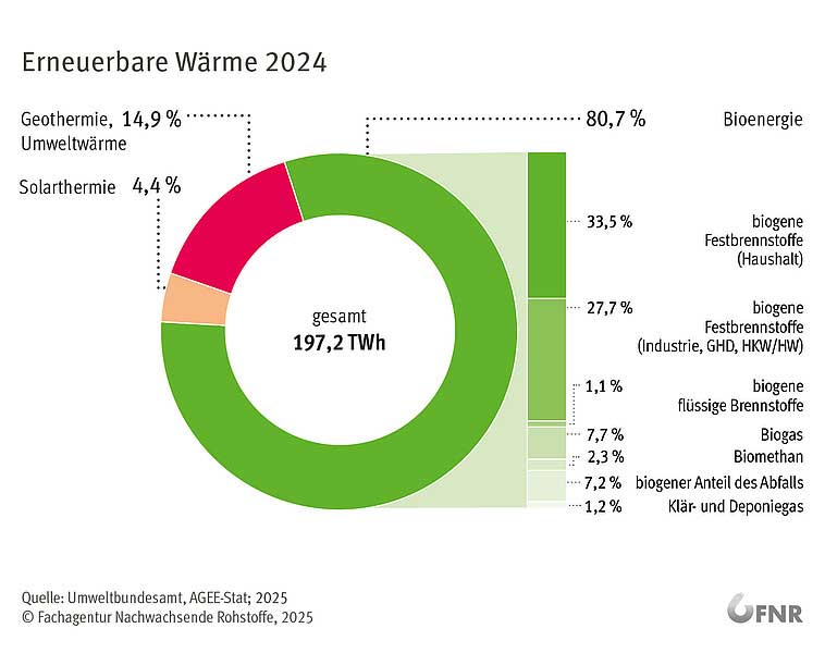 (1)	Rund 18 % der in Deutschland verbrauchten Wärme stammten 2024 aus regenerativen Energien. Der Anteil der Bioenergie daran liegt bei 81 Prozent, wobei biogene Festbrennstoffe, weit überwiegend Holz, am stärksten zur erneuerbaren Wärmeerzeugung beitrugen. Bild: FNR
