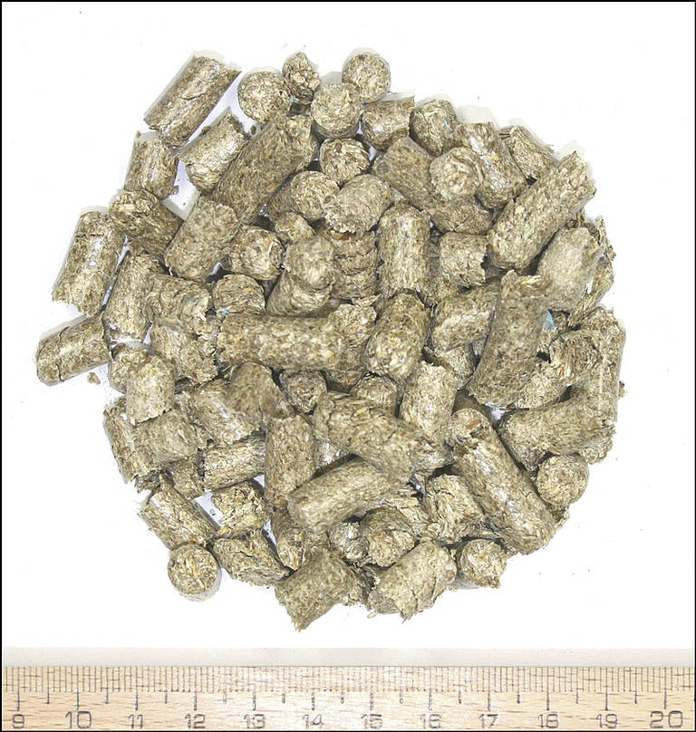 Innovative Feuerung für breites Brennstoffspektrum - Neues