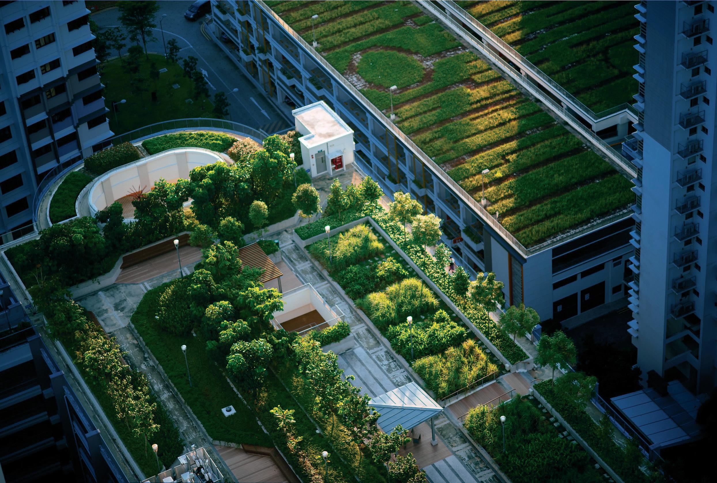 Insbesondere beim Einsatz in größeren Gebäuden wird Regenwasser obligatorisch für den Einsatz als Nutzwasser vorgesehen. Wenn das Regenwasser von begrünten Dächern kommt, sind spezielle Filter erforderlich. (Aquatum AG)